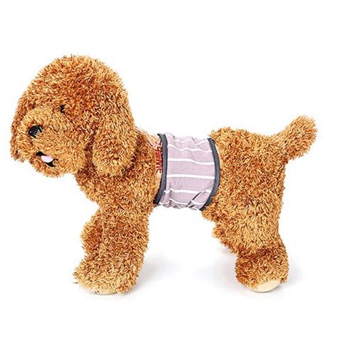 washable dog diapers male|doggy diapers for male dogs.